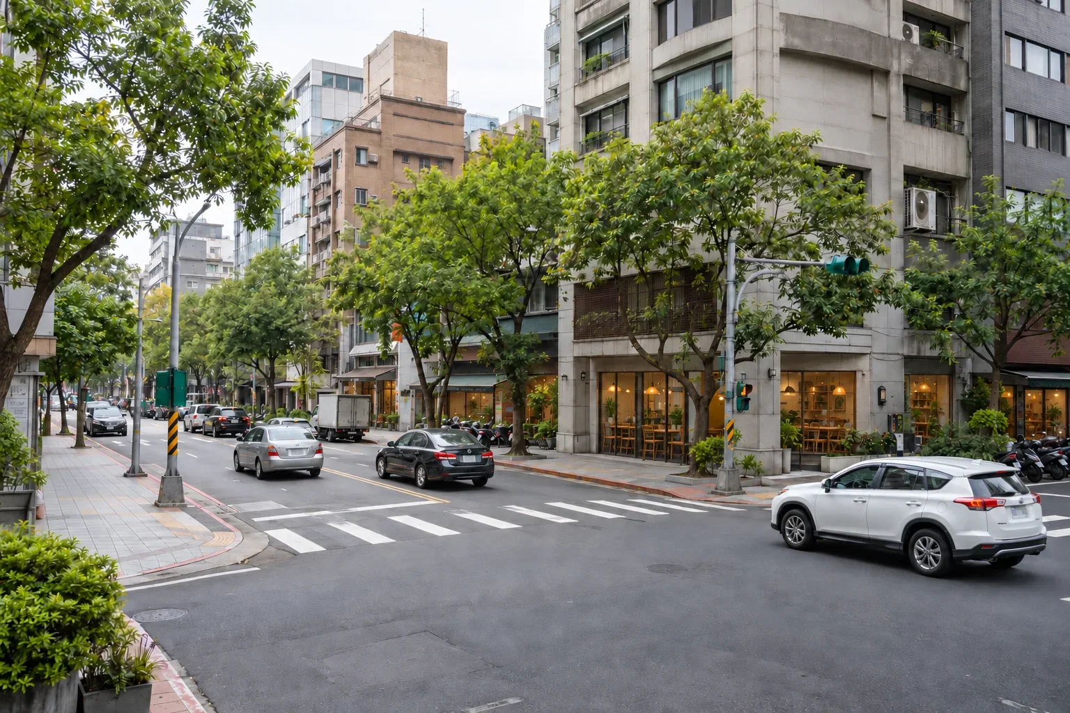 A tree-lined city street with everyday traffic